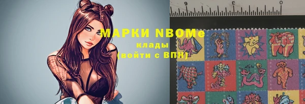 гидропоника Бородино