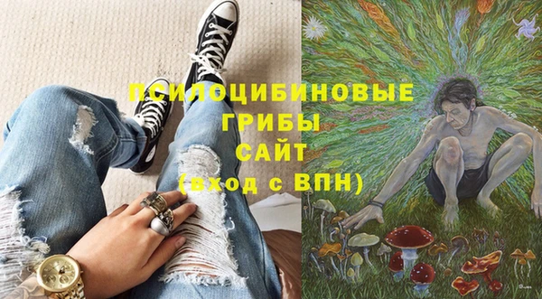гидропоника Бородино