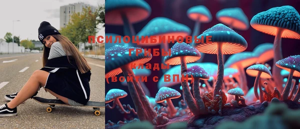 шишки Бугульма