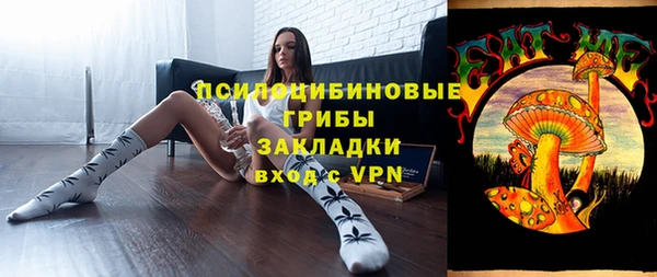 шишки Бугульма