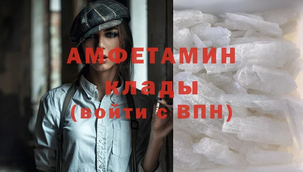 молекула духа Бронницы