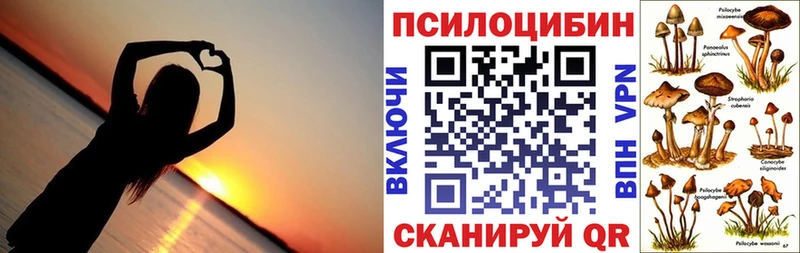 Псилоцибиновые грибы Psilocybine cubensis Белая Холуница